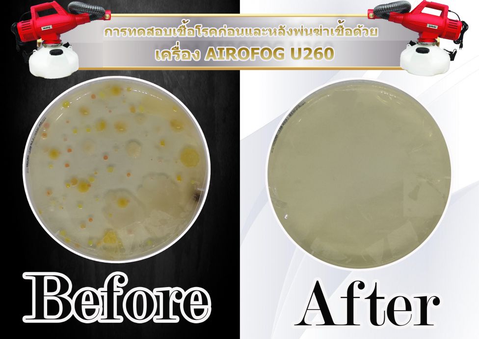 น้ำยาฆ่าเชื้อ CHEMGENE HLD4L