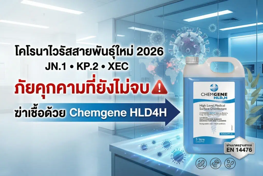 โคโรนาไวรัสสายพันธุ์ใหม่