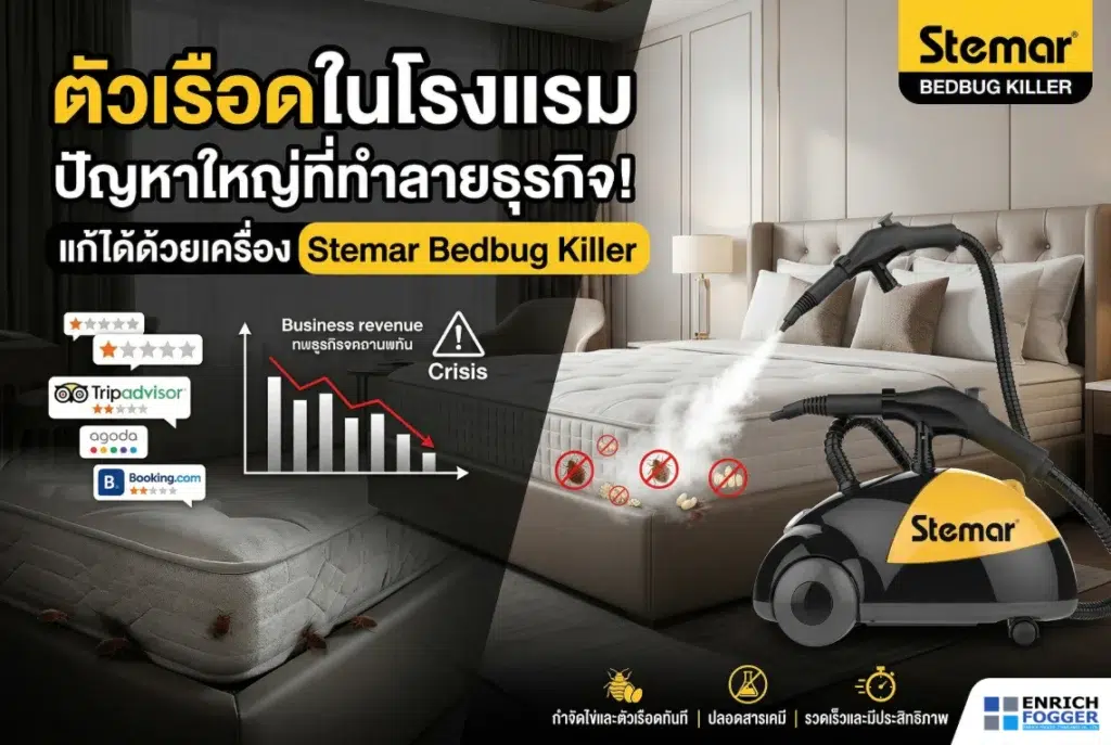 ตัวเรือดในโรงแรม