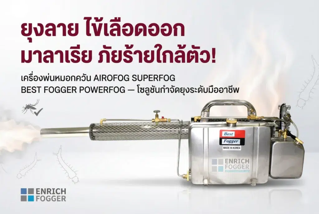 ยุงลาย ไข้เลือดออก มาลาเรีย